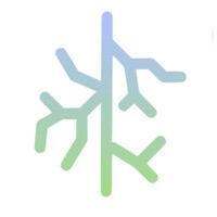 dendritic health ai logo image