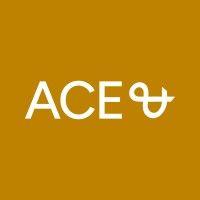 ace & company logo image