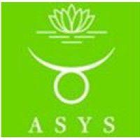 asys automatic systems gmbh & co.kg logo image