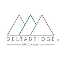 delta bridge, inc. logo image