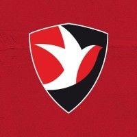 cheltenham town football club logo image