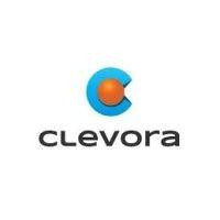 clevora global outsourcing services llp logo image