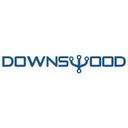 logo of Downswood Tech