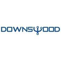 downswood tech logo image