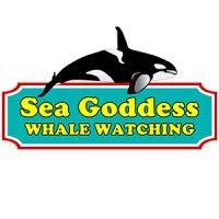 sea goddess whale watching logo image