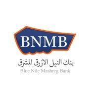 blue nile mashreg bank logo image