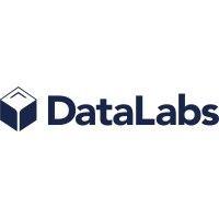 datalabs, inc. logo image