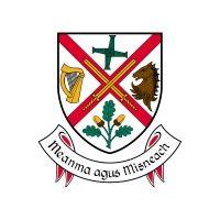 kildare county council logo image