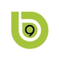 b9 solutions logo image