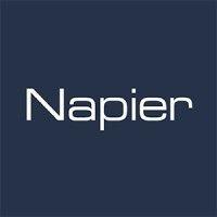 napier partnership limited