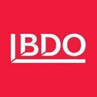 bdo danmark logo image