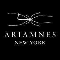 ariamnes llc logo image