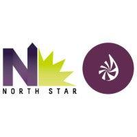 north star marketing | figmints logo image