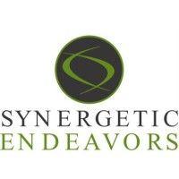 synergetic endeavors logo image