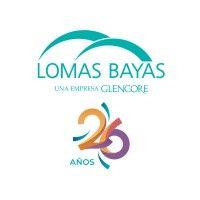 compañía minera lomas bayas logo image