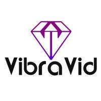 vibravid logo image