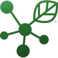 viridis chemical logo image