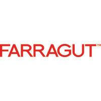 farragut systems, inc. logo image