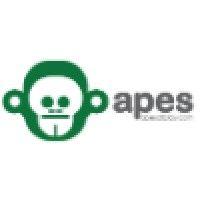 adventure playground engineers (apes) ltd