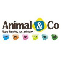 animal & co