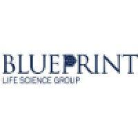 blueprint life science group logo image