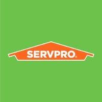 servpro team doyle serving allentown & western lehigh county logo image