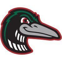 great lakes loons logo image