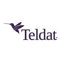 teldat logo image