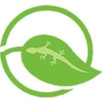 eco-gecko products inc. logo image