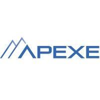 apexe global inc. logo image