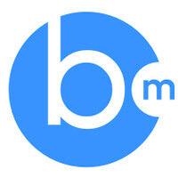 bidmatic.io logo image