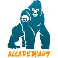 accademia09 logo image