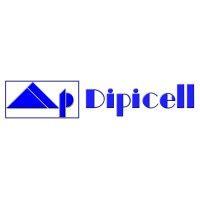 dipicell logo image