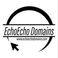 echoecho domains logo image