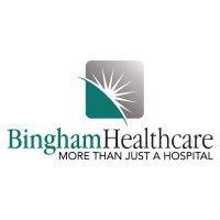 bingham healthcare