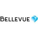 logo of Bellevue A S