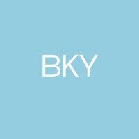 bky search logo image