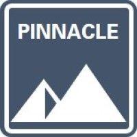 pinnacle coaching and development logo image