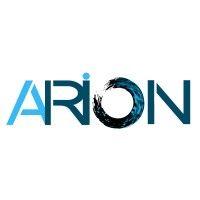 arion consulting services