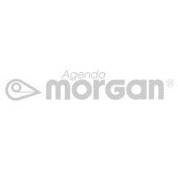 morgan s.a. logo image