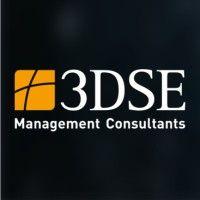 3dse management consultants inc. logo image