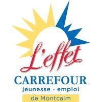 carrefour jeunesse-emploi de montcalm logo image