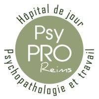 psypro reims logo image