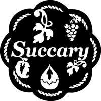 succary logo image