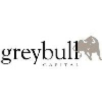 greybull capital llp logo image