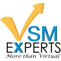 vsm experts logo image