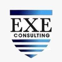 exe consulting