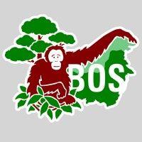 borneo orangutan survival (bos) foundation logo image