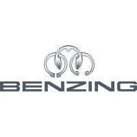 hugo benzing gmbh & co. kg logo image