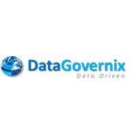 datagovernix ltd. logo image